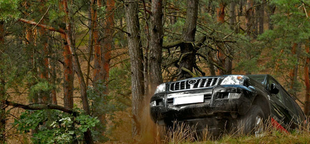 Winching Services